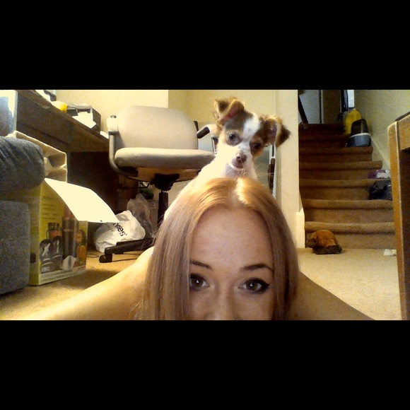 Meet your Posher, Dior - Picture 3 of 4